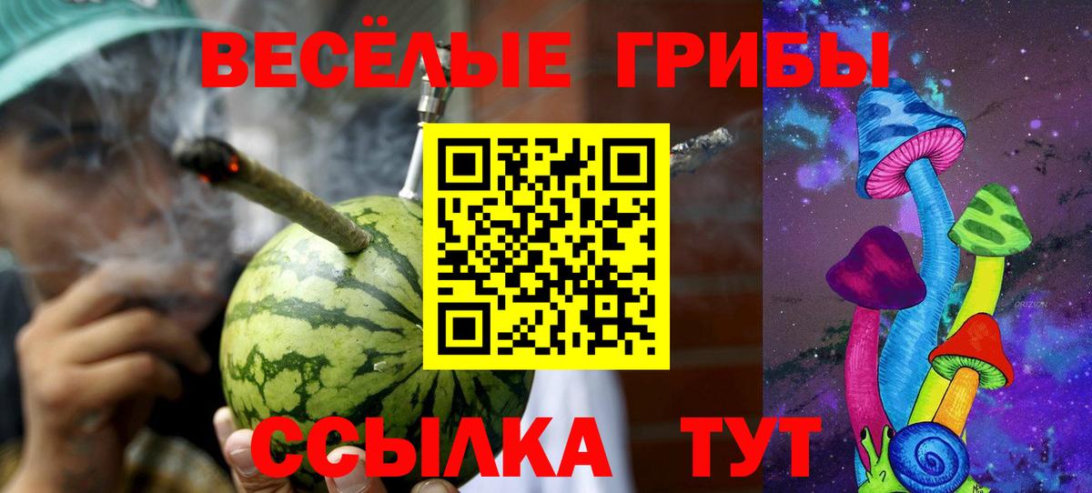 Псилоцибиновые грибы мухоморы Кинешма